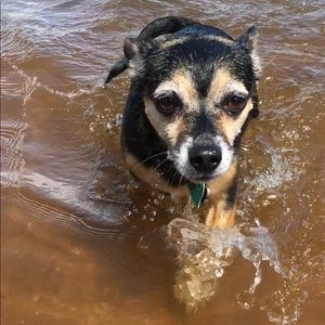 Meet your Posher, Amber